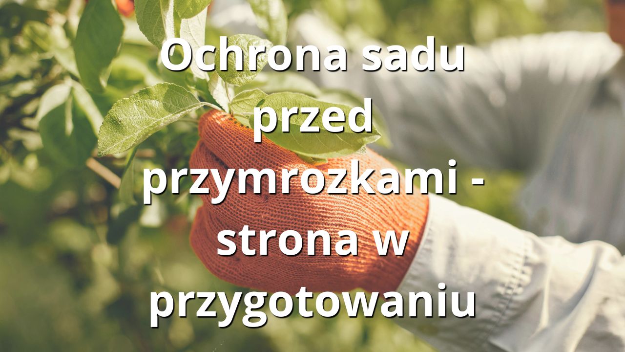MaszynyDoSadu.pl - Ochrona sadu przed przymrozkami - strona w przygotowaniu