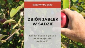 Sadownictwo - Zbiór jabłek w sadzie - kiedy ręczna praca przestaje się opłacać?