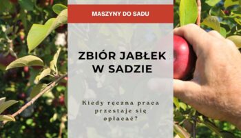 Sadownictwo - Zbiór jabłek w sadzie - kiedy ręczna praca przestaje się opłacać?