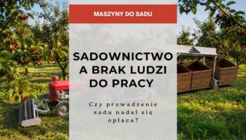 Sadownictwo - Sadownictwo a brak ludzi do pracy. Czy prowadzenie sadu nadal się opłaca