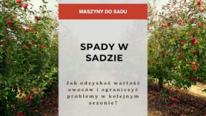Spady - Spady w sadzie - jak odzyskać wartość owoców i ograniczyć problemy w kolejnym sezonie?