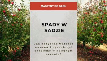 Spady - Spady w sadzie - jak odzyskać wartość owoców i ograniczyć problemy w kolejnym sezonie?